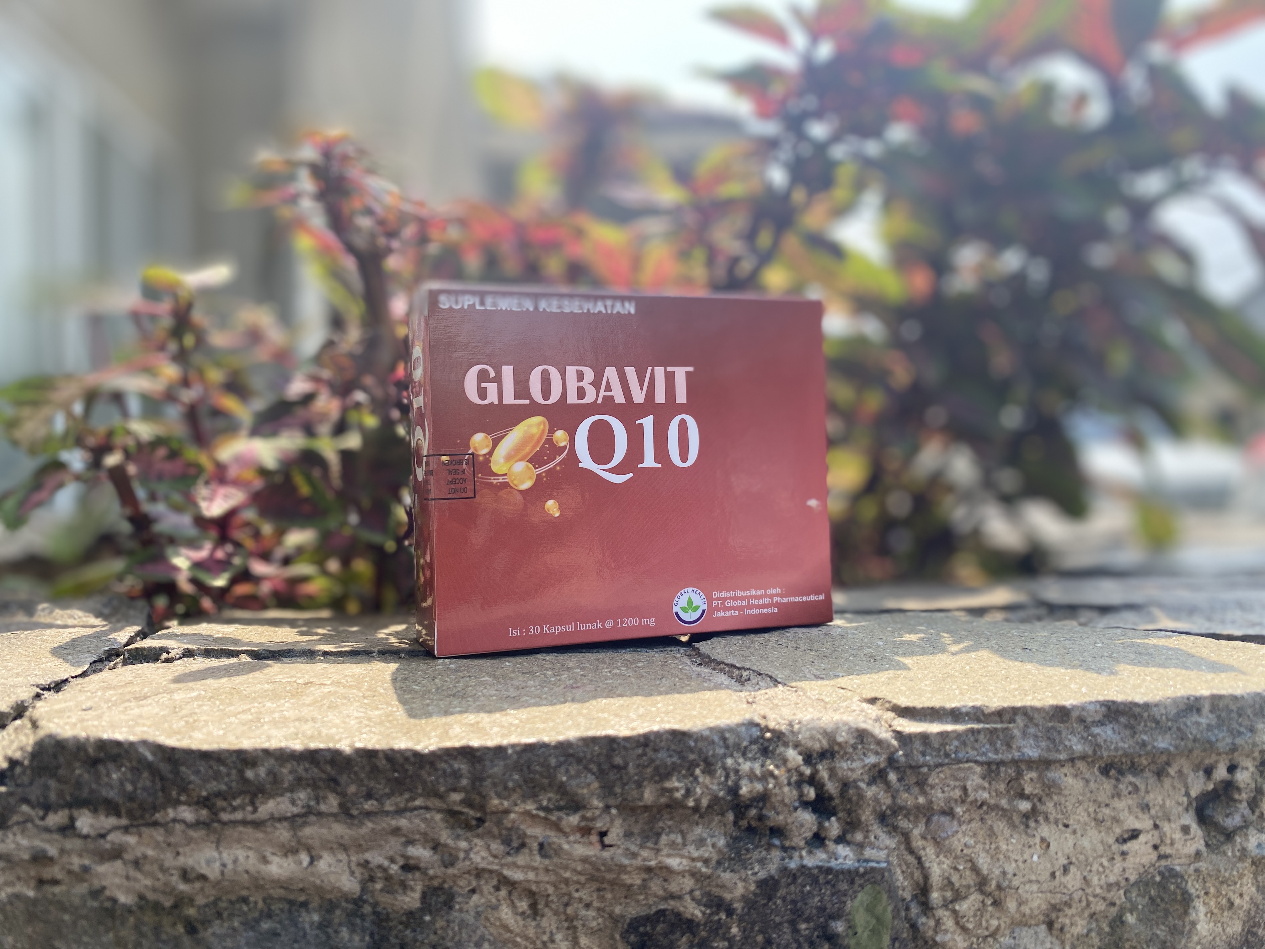 Global Qvit